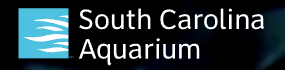 South Carolina Aquarium Coupons