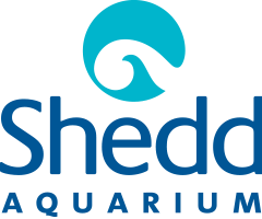 Shedd Aquarium Coupons